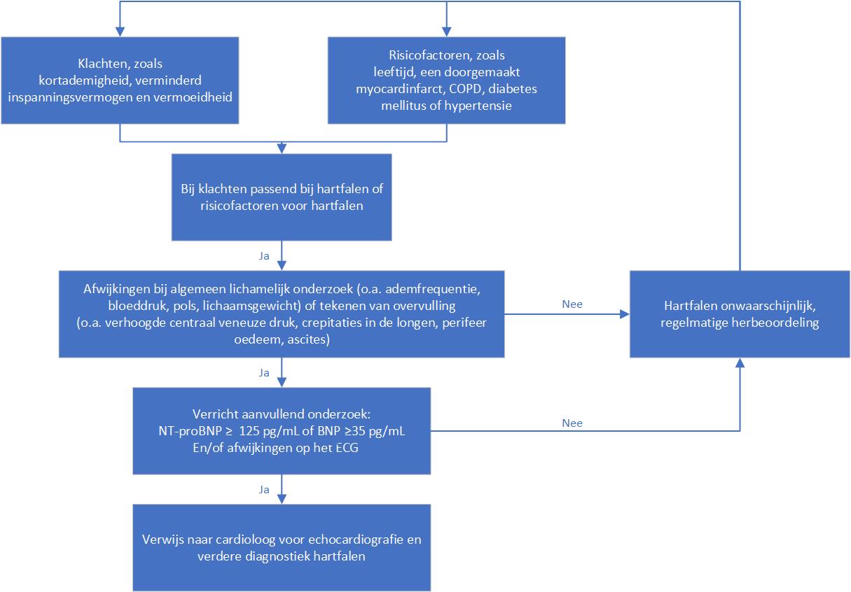 Roche Flowchart